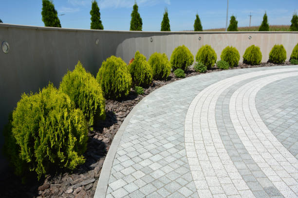 Best Brick Driveway Pavers  in University Park, IL